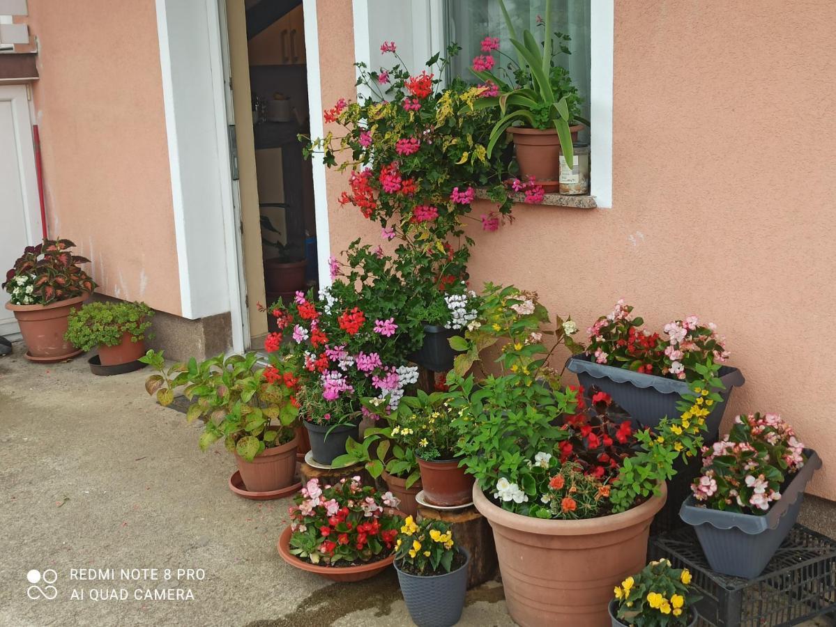 Guesthouse Blazenka Hodak Selište Drežničko Extérieur photo
