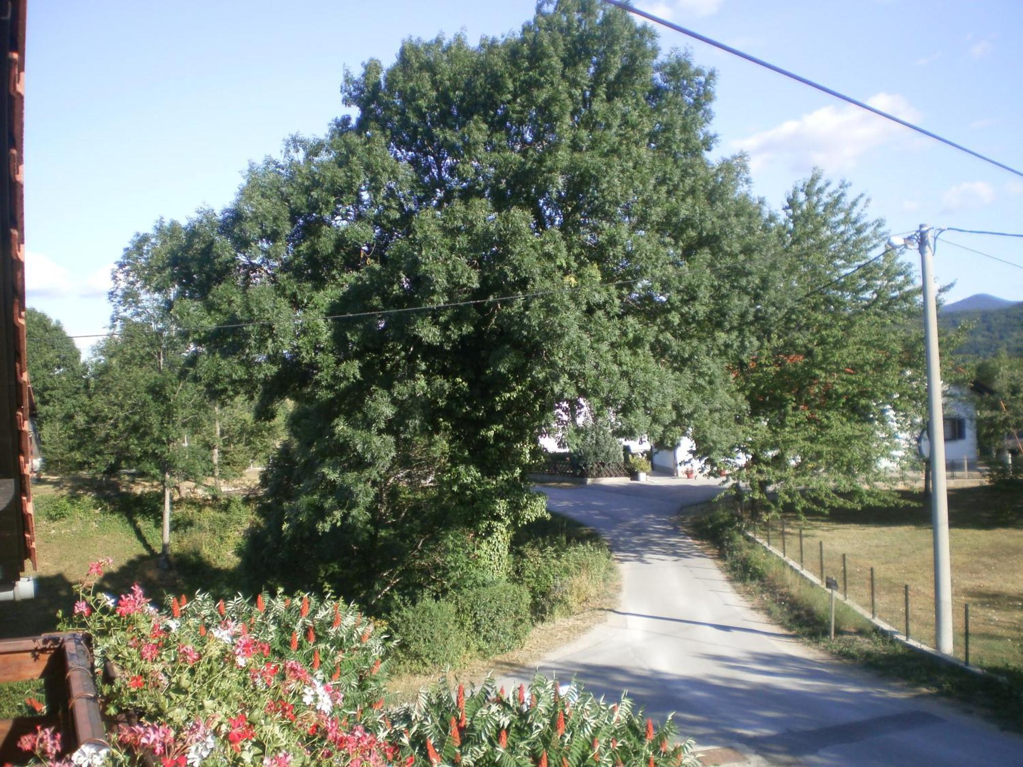 Guesthouse Blazenka Hodak Selište Drežničko Extérieur photo