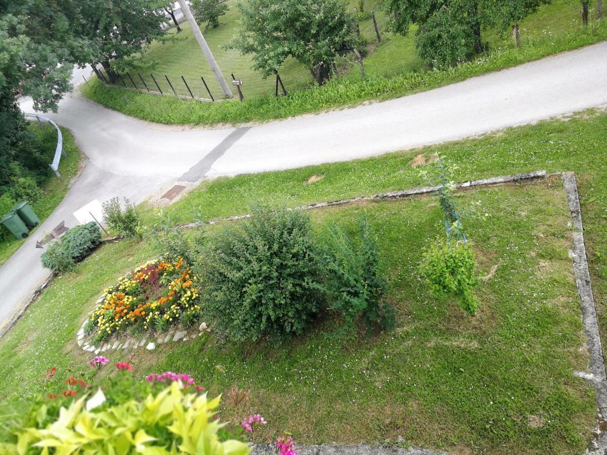 Guesthouse Blazenka Hodak Selište Drežničko Extérieur photo