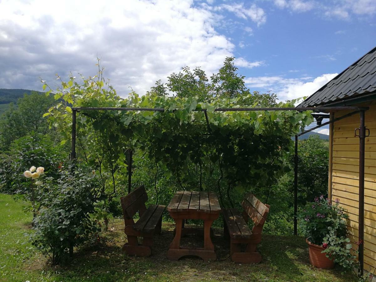 Guesthouse Blazenka Hodak Selište Drežničko Extérieur photo