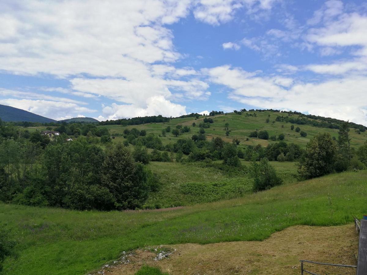 Guesthouse Blazenka Hodak Selište Drežničko Extérieur photo